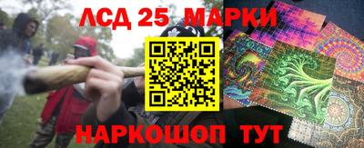 гидра Можга